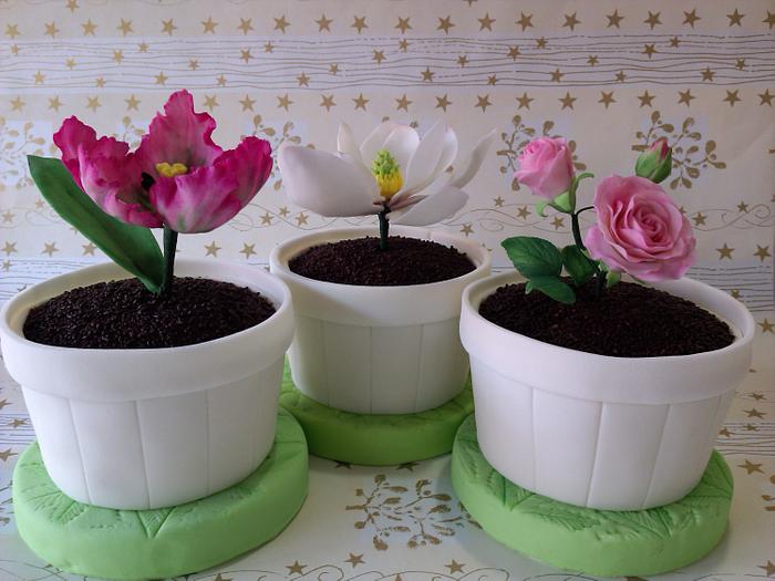 Flowers Mini Cakes