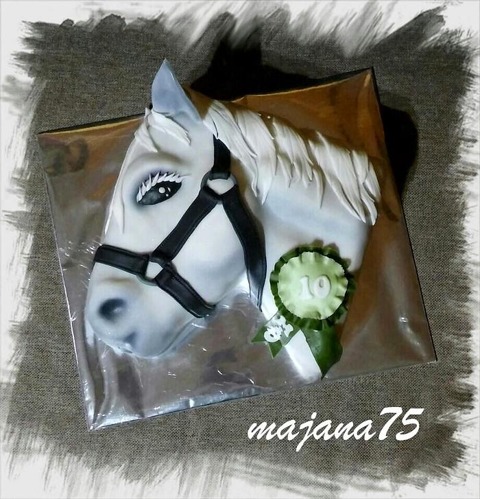cake horse