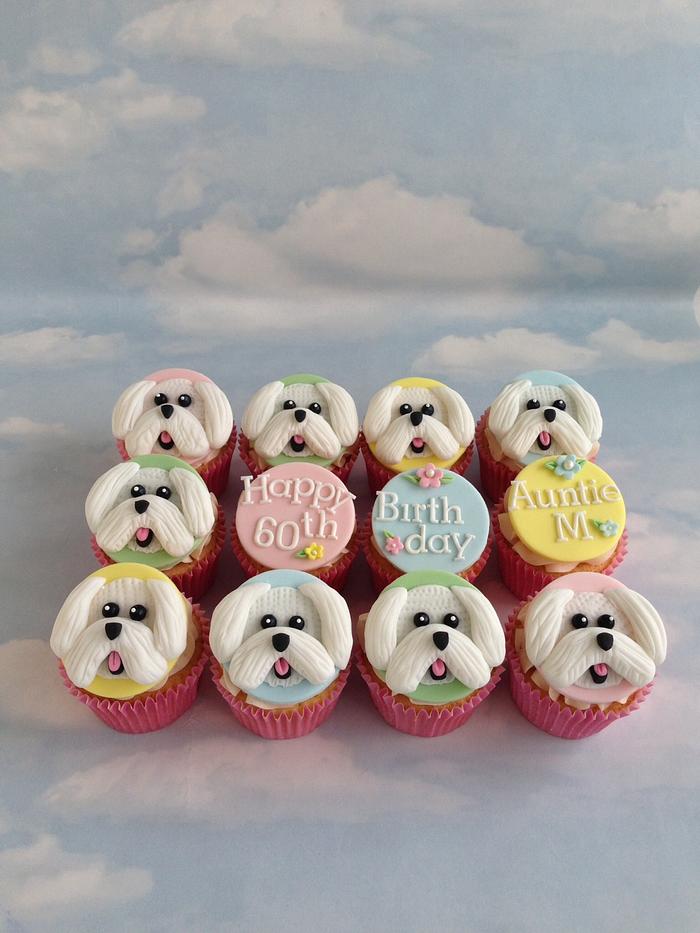 Bichon frise themed birthday cupcakes 