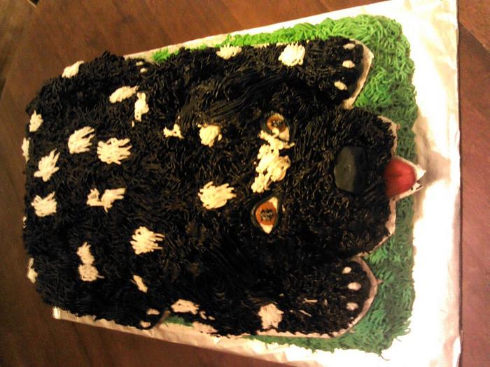 Black Puppy Cake  w/ White Spots.