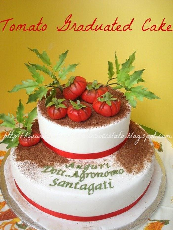 Tomato Cake - stetted