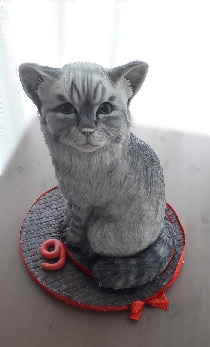 3D Cat cake