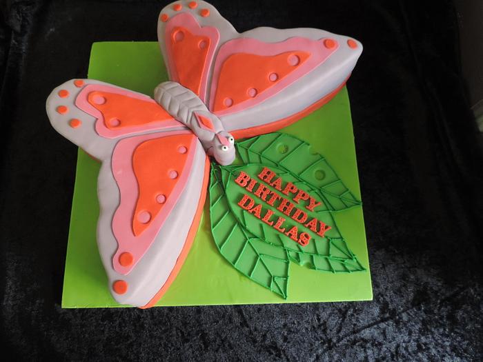 Butterfly Birthday cake
