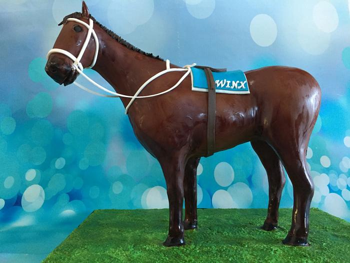 Winx Racehorse 