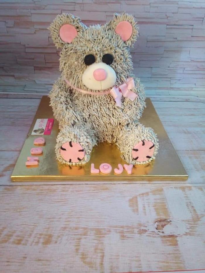 Teddy bear cake by hala elsaady