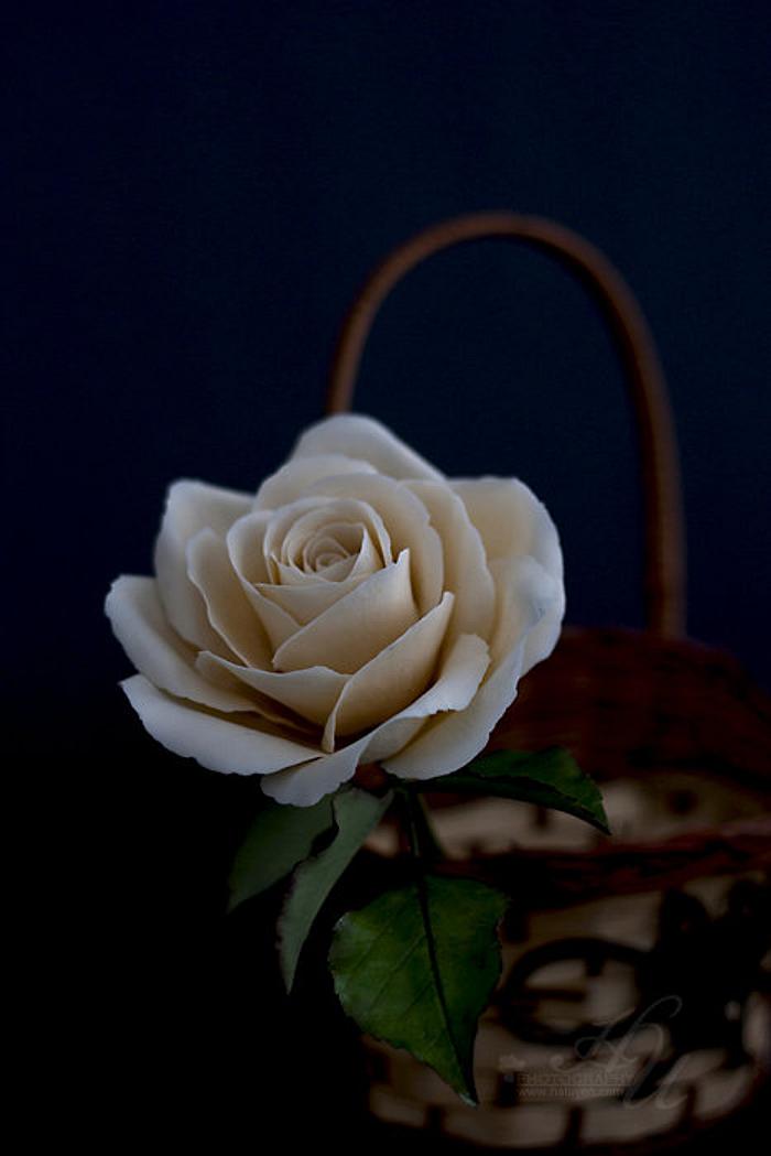 Ivory gumpaste Rose