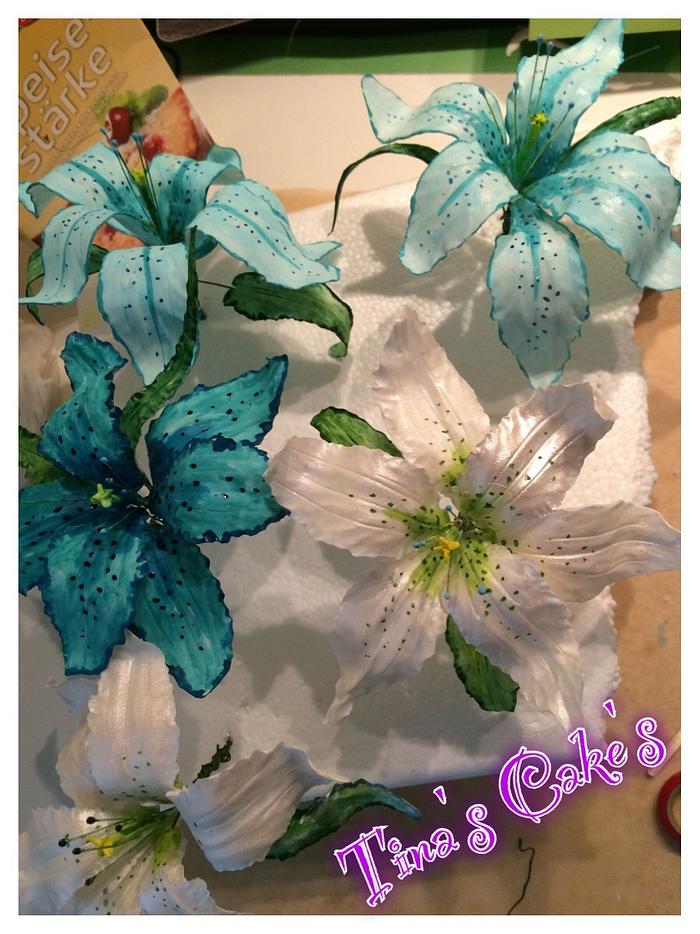 Blue & White Lilie 