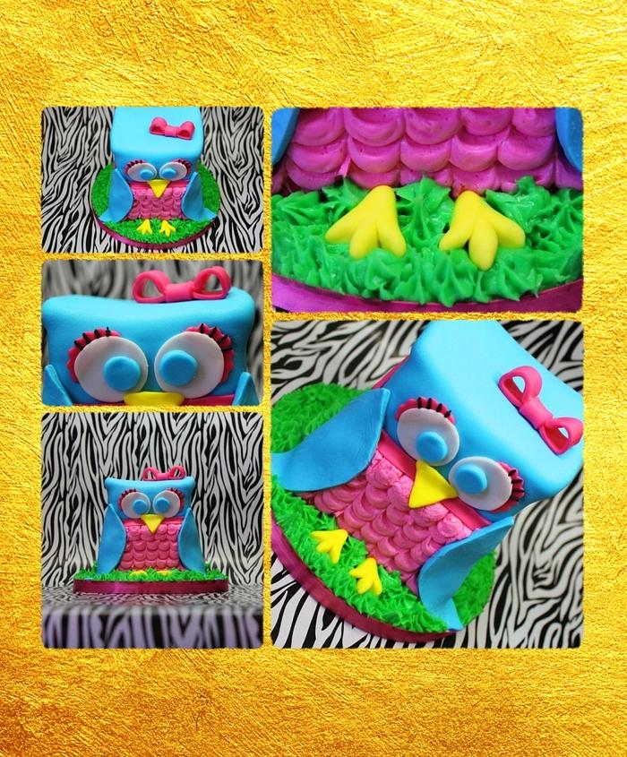  Teal Owl cake
