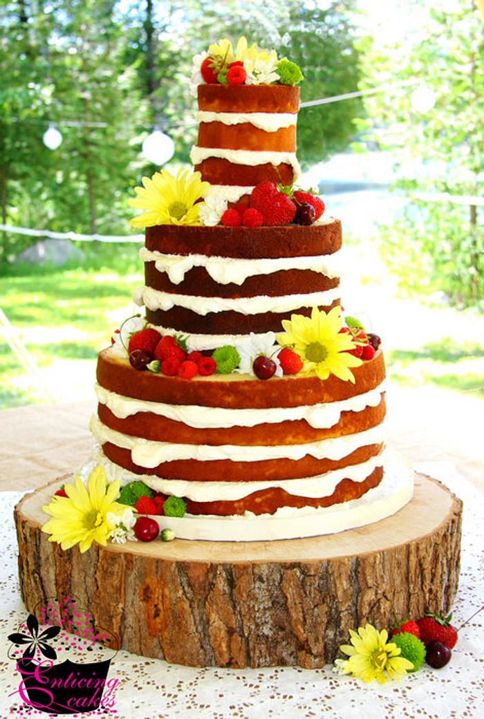 FRESH & FUN WEDDING CAKES - American Dream Cakes
