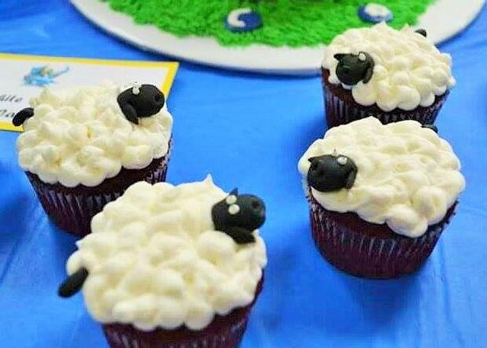 Sheep cupcakes for Skylander cake