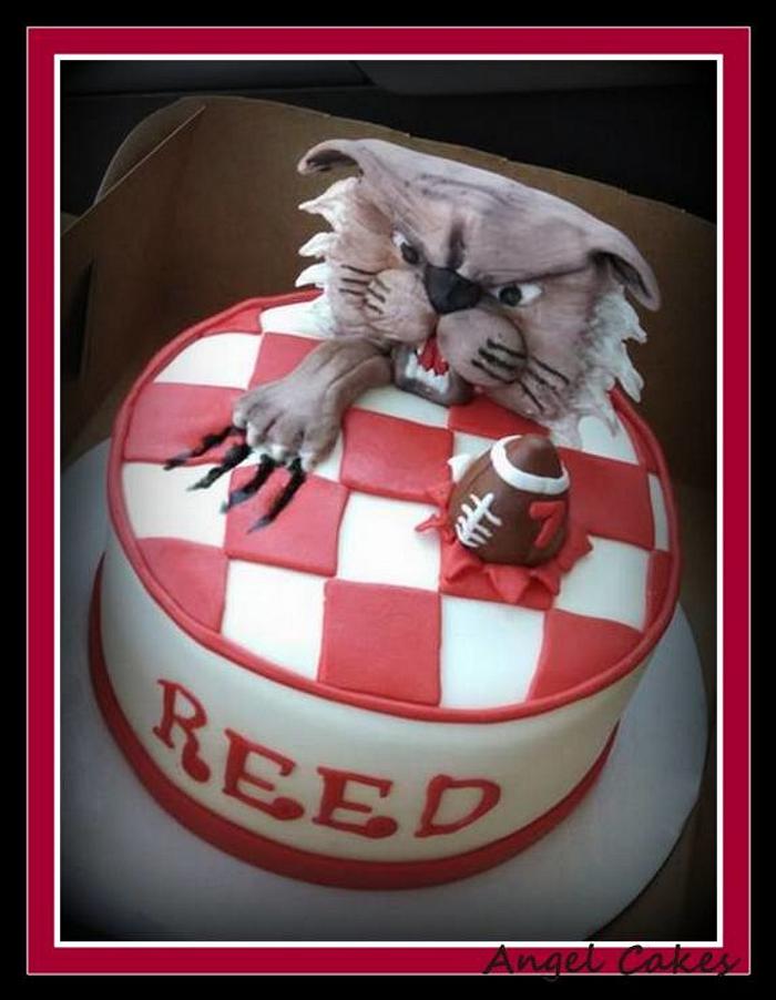 Wildcats Birthday Cake