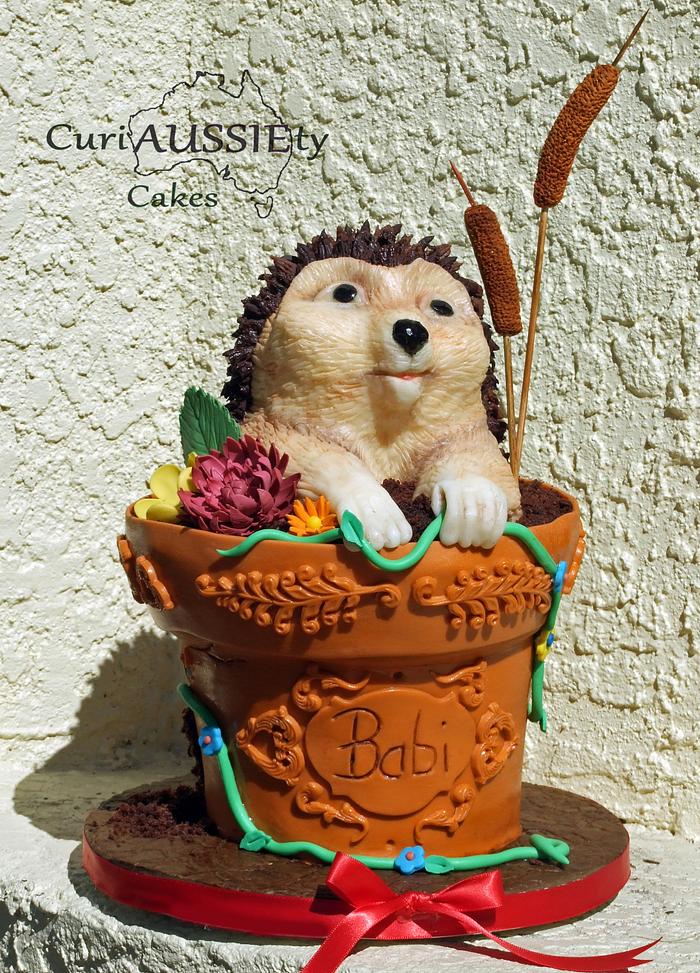 Cute Hedgehog in a flower pot cake!