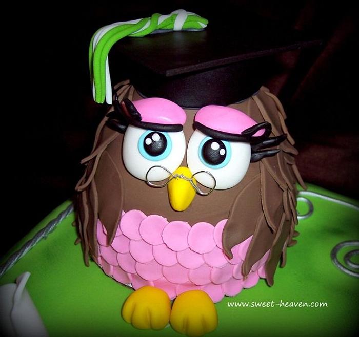 Owl Cake Graduation