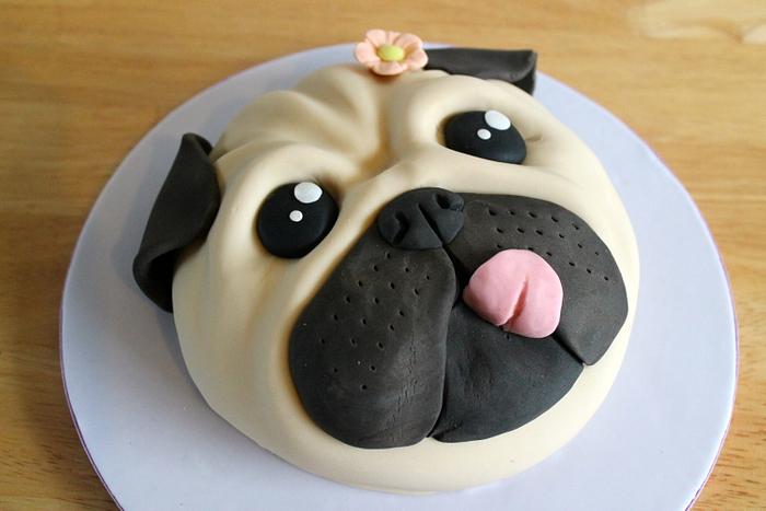 Little Pug face cake