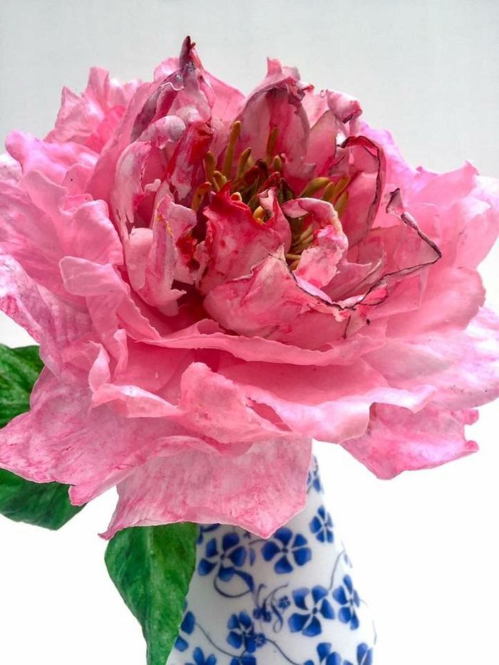 Wafer Paper Peony Flower 