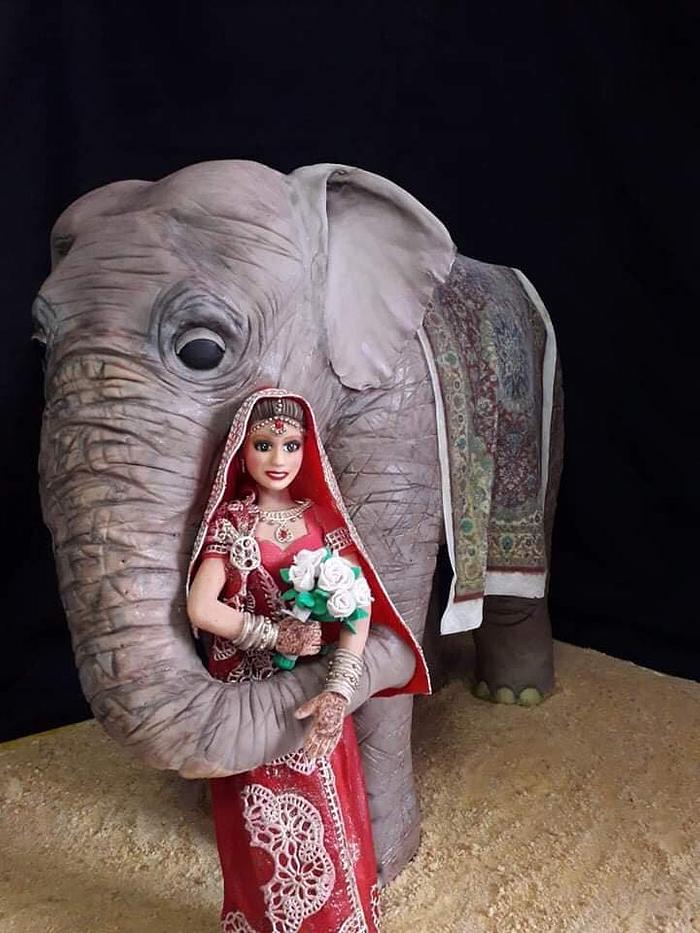 bride and elephant