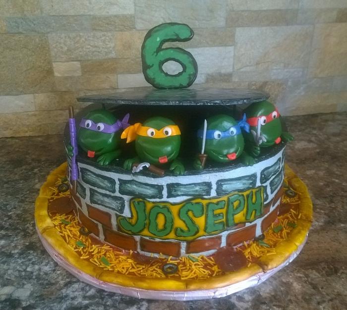 Ninja turtle cake