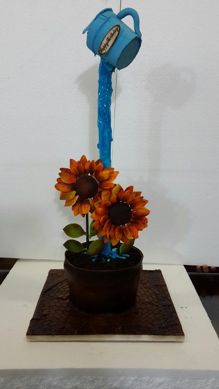 Gravity Defying Flower Pot Cake