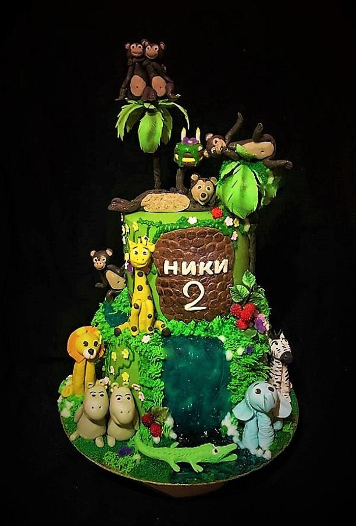  Birthday cake  Jungle