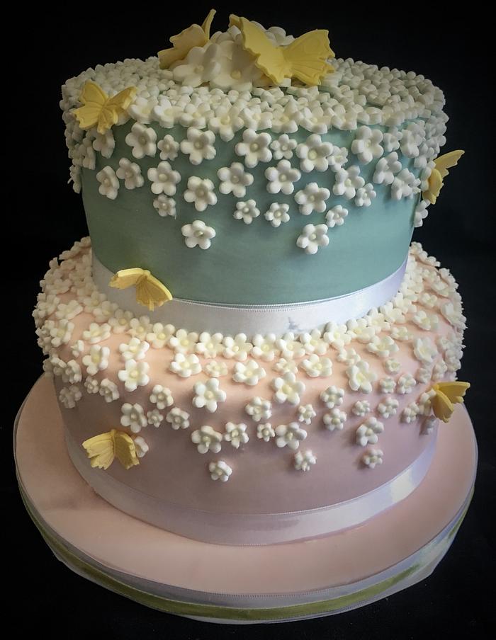 White flower and butterfly cake 
