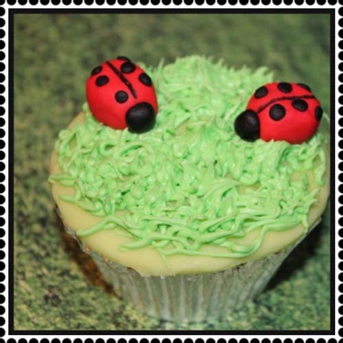 Lady bird cupcakes