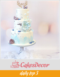 Winter weddingcake