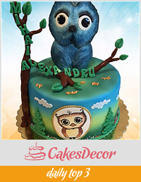 Christening cake with Owls
