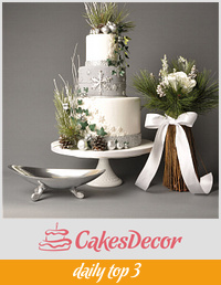 Winter Silver Wedding, featured in Cake Central Magazine