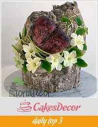Stone heart wedged in a tree cake