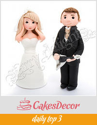Bride and Groom Toppers