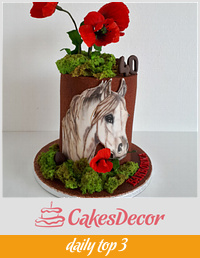 B-day horse and poppies
