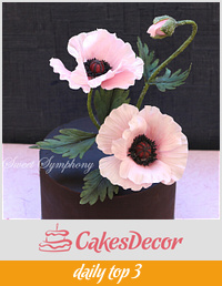 Ganached cake with poppies 