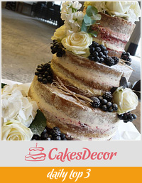 Theresa  Naked wedding Cake