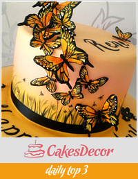 Hand Painted Sunset Butterfly Cake