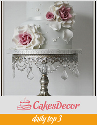 two tier rose cake