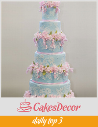 Duck egg blue lace wedding cake with pink sugar flowers