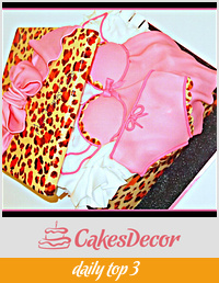 Leopard and Pink Lingerie Box