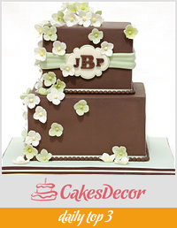 Brown and Sage Wedding Cake