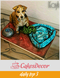 Spike the jack russell cross with his bed an bowl from cake too xxx 