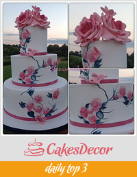 Hand painted rose cake 