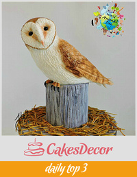  Barn Owl - World Animal Day Collaboration