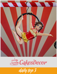 PDCA Caker Buddies Dessert Table Collaboration - Aerial Hoop Artist (Part 2 of 4 Circus Theme)