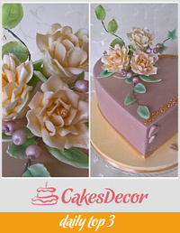 Elegant cake 