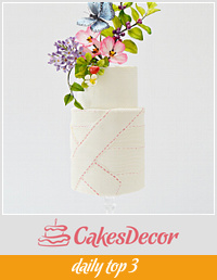 Bandaged Cake- #TheButterflyProject