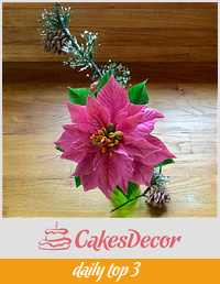 Pink poinsettia and pine cones