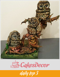 Harry,lilly and Percy the carved owl cakexxx