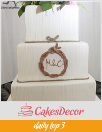 Rustic Romantic Wedding Cake with vertical line detailing and edible twig monogram