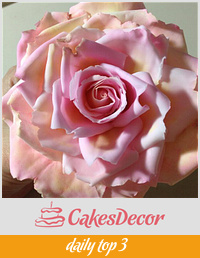 Large Pink and Yellow Icing Rose