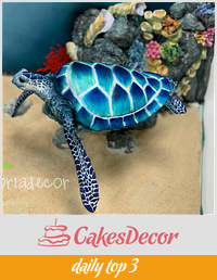 Flying turtle cake