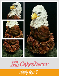 eddie the eagle cake sat in his floating nest  xxx 2 foot tall 